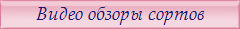 Видео обзоры сортов фиалок
